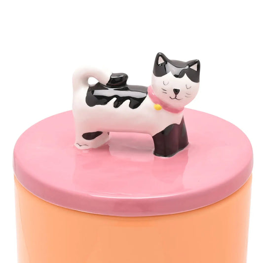 Keksdose Katze