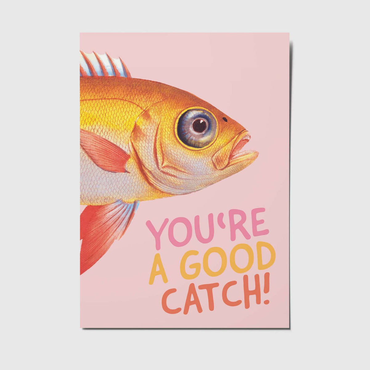 Postkarte von Studio Mirabella mit dem Spruch „You're a good catch“
